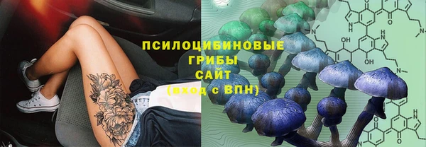 эйфоретик Володарск