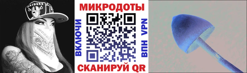 Псилоцибиновые грибы прущие грибы  Осташков 